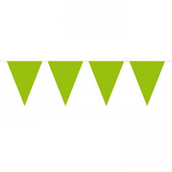 Einfarbige Wimpel-Girlande 10 m-grün