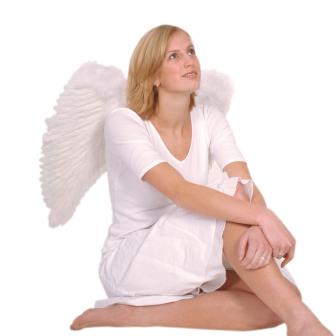 Engelsflügel 65cm-weiß