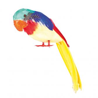 Papagei mit bunten Federn 30 cm