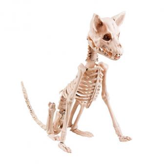 Raumdeko "Chihuahua-Skelett" 30 cm