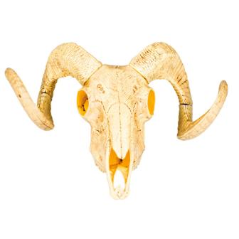 Deko-Schädel mit Hörnern 40 cm