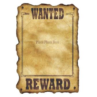 Wanddeko "Steckbrief" 43 cm