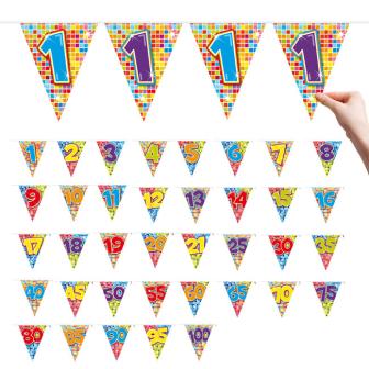 Zahlen-Wimpel-Girlande "Happy Crazy Birthday" 6 m - 80