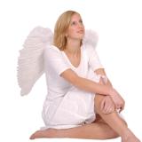 Engelsflügel 65cm-weiß