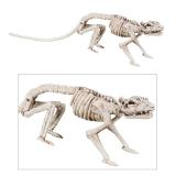 Raumdeko "Ratten-Skelett" 38 cm