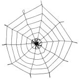 Raumdeko Spinnennetz mit Spinne XXL 150 cm