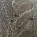 Spinnennetz "Dunkles Verließ" 100 g