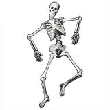 Wanddeko "Bewegliches Skelett" 134 cm