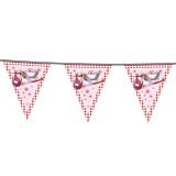 Wimpel-Girlande mit Klapperstorch 10 m-rosa
