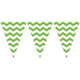 Wimpel-Girlande "Crazy Stripes" 2,74 m-grün