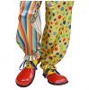 Clowns Schuhe - Beispielbild