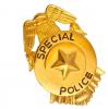 Goldene Brosche "Police"